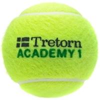 Tretorn Academy Green Tennis Balls (12 dozen)