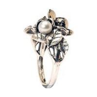 Trollbeads Ring (95102)