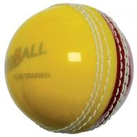 Trainer Incrediball Senior