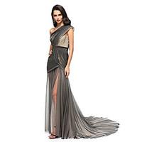 TS Couture Formal Evening Dress - Celebrity Style Sheath / Column One Shoulder Court Train Tulle with Side Draping Split Front Criss Cross