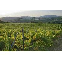 tuscany countryside val dorcia area private full day tour from rome