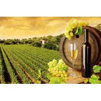 Tuscany Countryside Full-Day Tour from Rome with Wine tastings