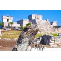 Tulum Xtreme from Cancun
