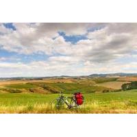 tuscan country bike tour from florence including wine and olive oil ta ...