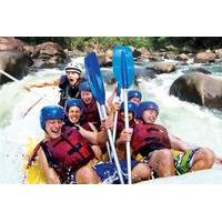 tully river full day white water rafting from cairns including bbq lun ...
