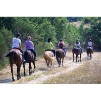 tuscan hills horseback riding tour from siena