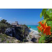 Tulum and Cenote Tour from Cancun