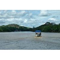 Tutong Proboscis Monkey Cruise from Bandar Seri Begawan