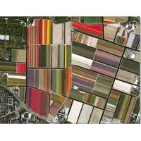 Tulip Fields, Netherlands 500 Piece Awesome Aerial Jigsaw Puzzle