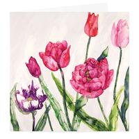 Tulips