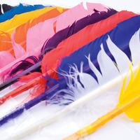 turkey quills assorted pack of 25