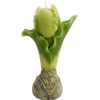 Tulip Medium Candle (Set of 6)