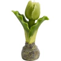 Tulip Large Candle (Set of 6)