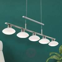 Tuana LED Hanging Light Height Adjustable