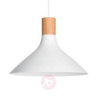 Tunnel - modern pendant light with wooden detail