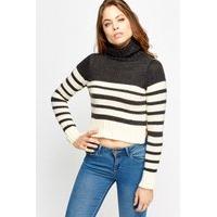 turtle neck striped cropped jumper