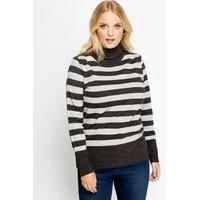 Turtle Neck Striped Jumper