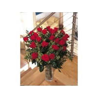 Two Dozen Deluxe Red Roses