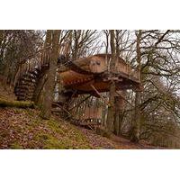 two night family tree house escape