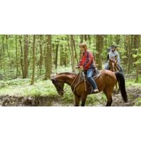 Two Night Horse Riding Break for Two