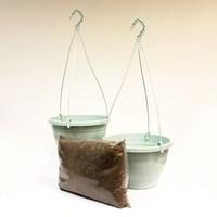 two aquamarine hanging baskets and compost kit