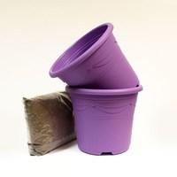 Two Lavender Containers and Compost Kit