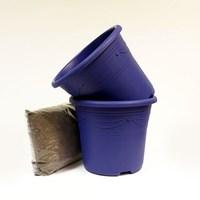 Two Dark Blue Containers x 2 and Compost Kit