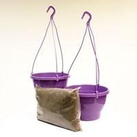 two lavender hanging baskets and compost kit