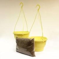 two yellow hanging baskets and compost kit