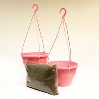 two pink hanging baskets and compost kit