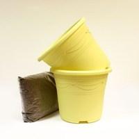 Two Yellow Containers and Compost Kit