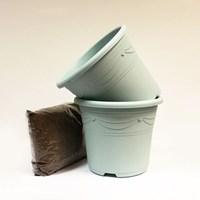 Two Aquamarine Containers and Compost Kit