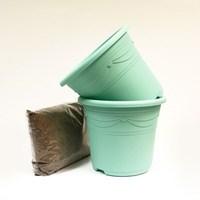 Two Fresh Green Containers and Compost Kit