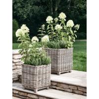 Two Square Rattan Planters