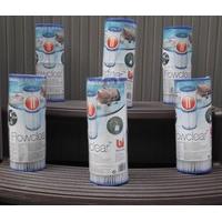 Twin Pack Bestway Size II Filter Cartridges for Pools & Lay-Z-Spas 6x Twin Pack