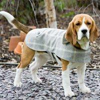 TWEED DOG COAT in Slate Tweed Design - Extra Small