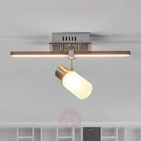 two bulb marcelina led ceiling light