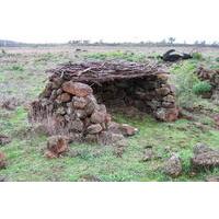 Tyrendarra Indigenous Walking Tour with Indigenous Guide