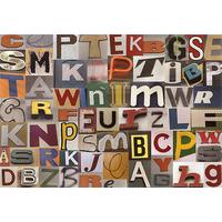 Type By Sharon Elphick