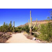 u drive desert car tour in the sonoran desert