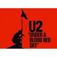 U2 Under A Blood Red Sky Postcard