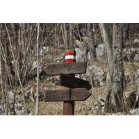 Ucka Mountain Hiking Tour