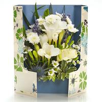 ug freesia cream