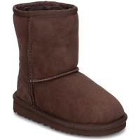 ugg australia classic mens low ankle boots in brown