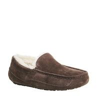 UGG Ascot Slipper ESPRESSO SUEDE