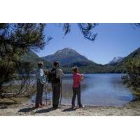 ultimate nature experience from queenstown dart river jet boat ride an ...