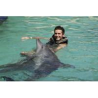 Ultimate Swim Dolphin Program in Ocho Rios