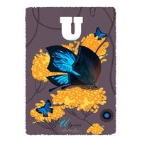 (U)lysses Butterfly By Graham Ca...