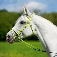 Unknown Synthetic Bridle