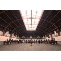 Unexpected Paris: Training of the French Horse Guards in French